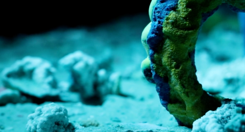 Here Lie Our Bodily Relics, 2023